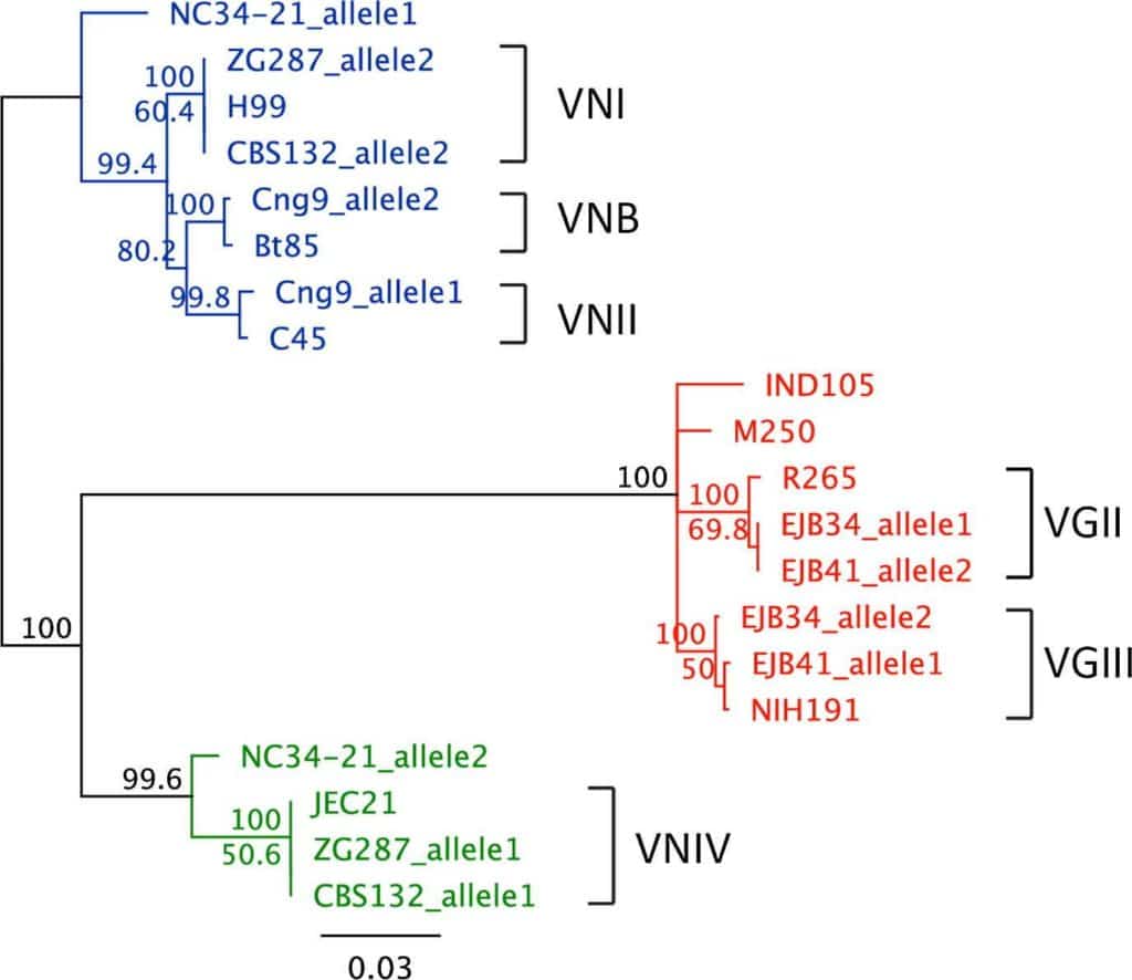 Microbes_in_Public_Health.Next_Generation_multilocus_sequence_typing
