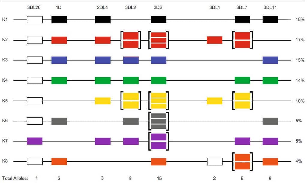 Prall-2017-Improved-Discovery of a full-length KIR transcript in Mauritian cynomolgus macaque