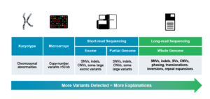 More variants detected with long-read sequencing for rare diseases - PacBio