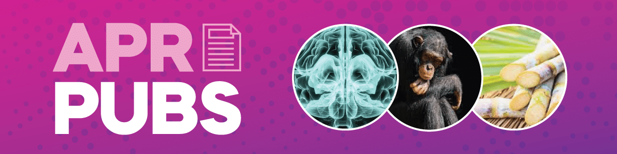 blog header image for April Powered by PacBio showing a human brain, great ape, and sugarcane