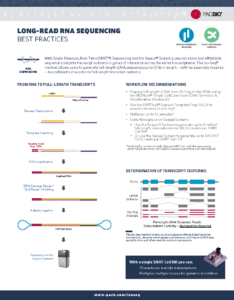 Application Brief - Long-read RNA sequencing - Best Practices