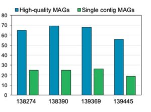 BioCollective MAGs graph - PacBio