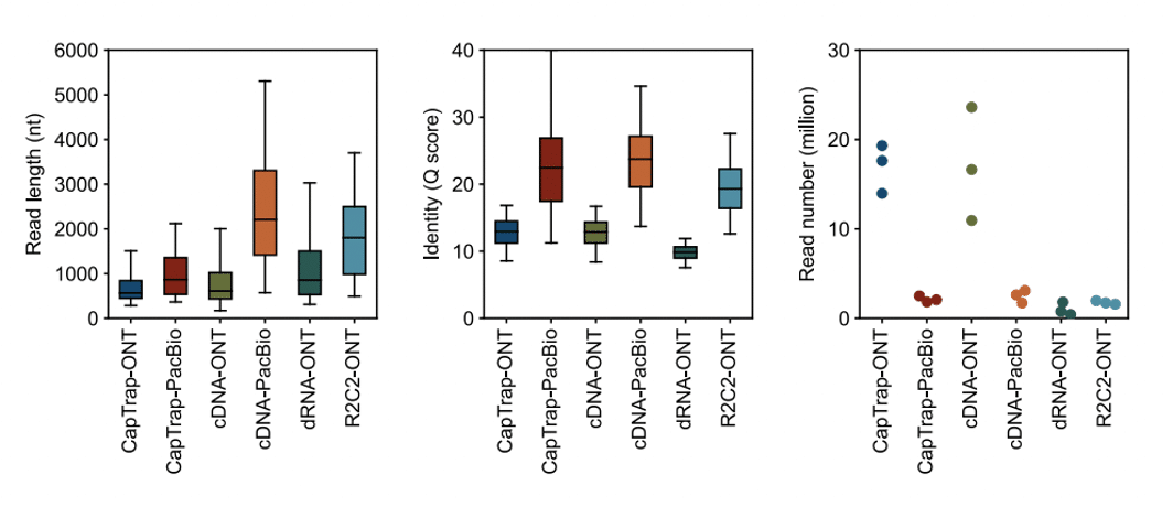 Comparison of library prep methods