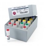 DNA Template Prep Kit