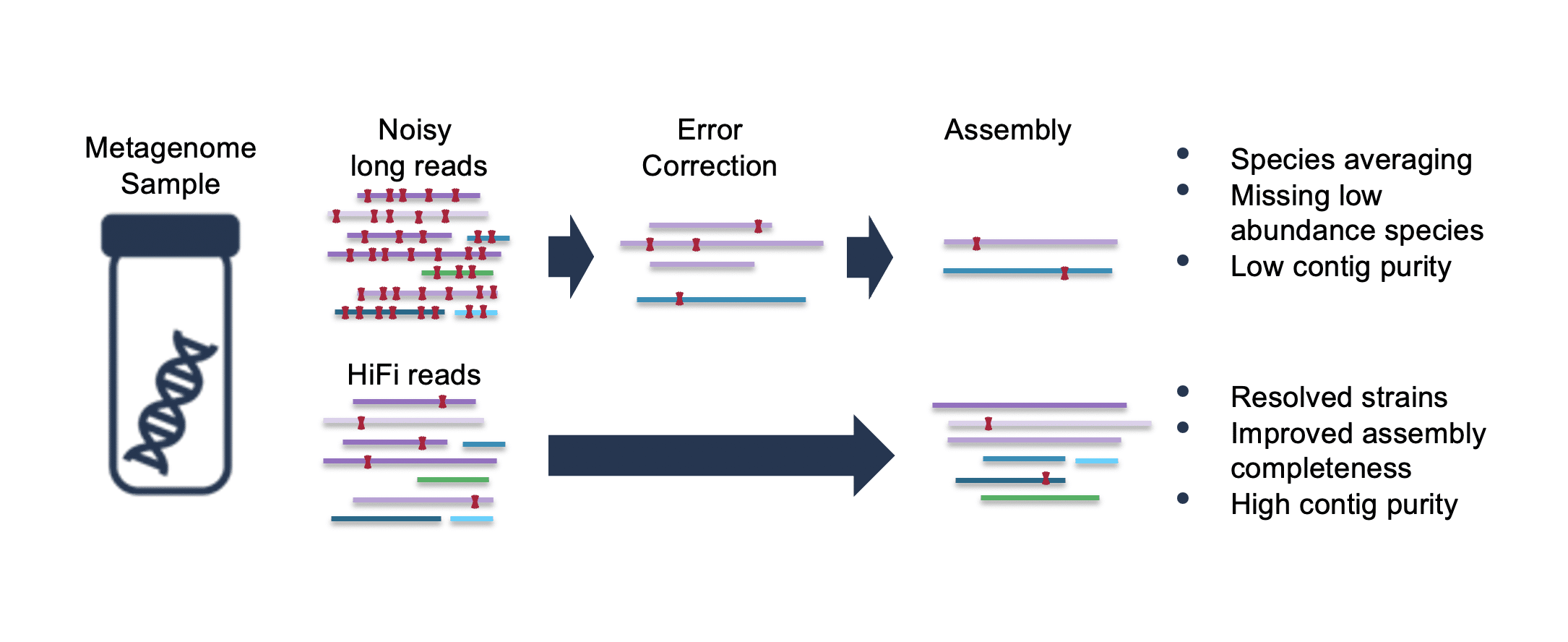 Fig 1 Metagenomics assembly HIFi Workflow Hero Image