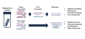 Fig 1 Metagenomics assembly HiFi Workflow - PacBio
