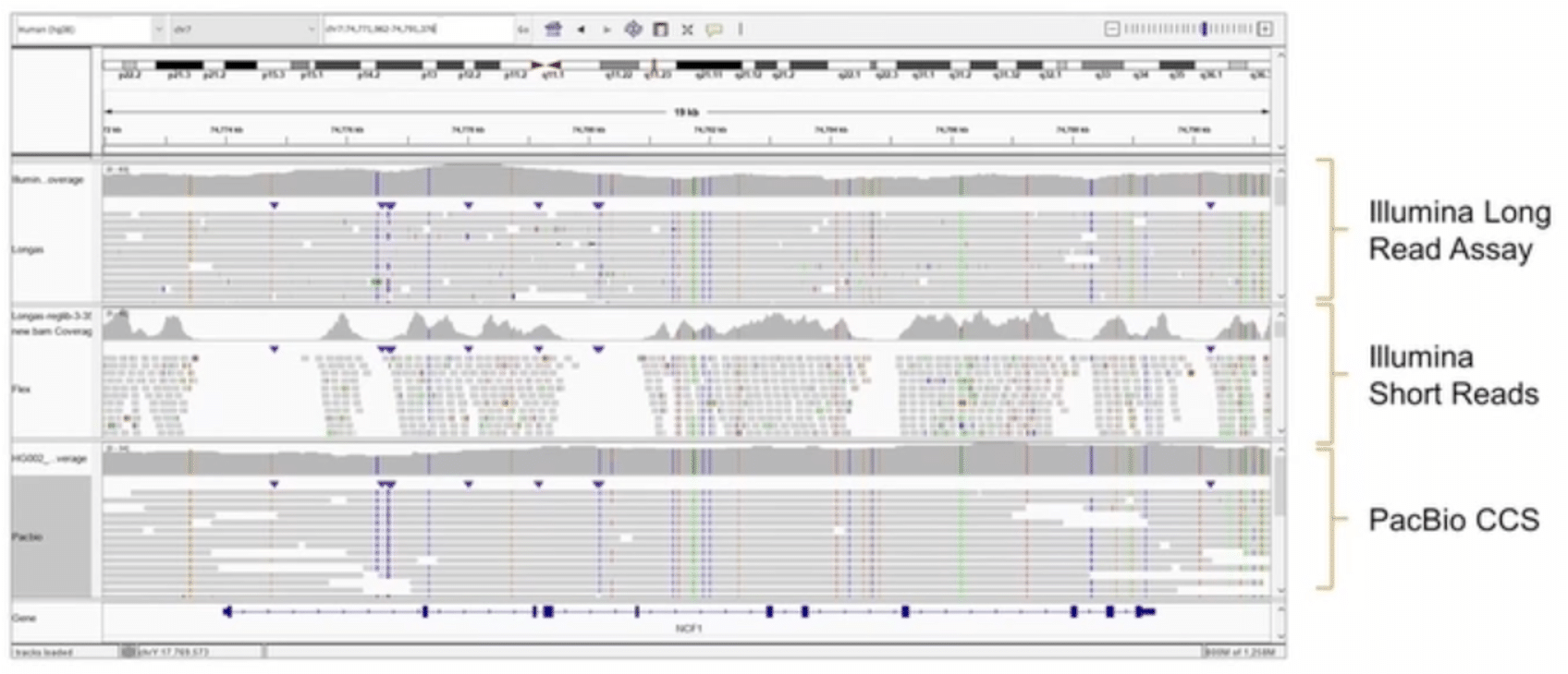 Illumina vs. PacBio CCS