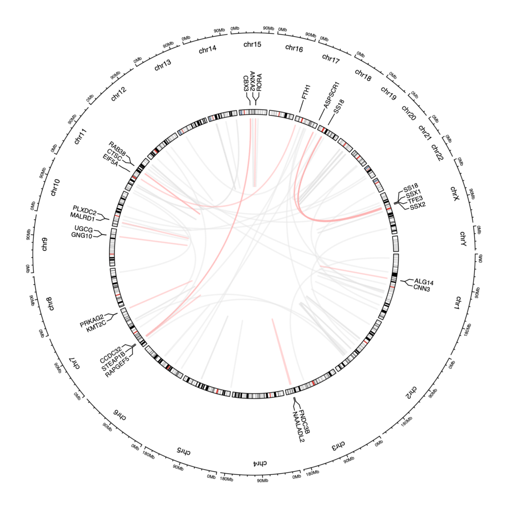 chromosomal ideogram of fusion genes