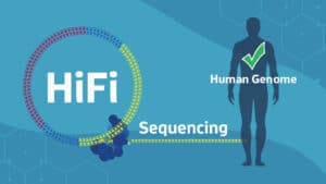 HiFi Sequencing_Complete Human Genome 2021