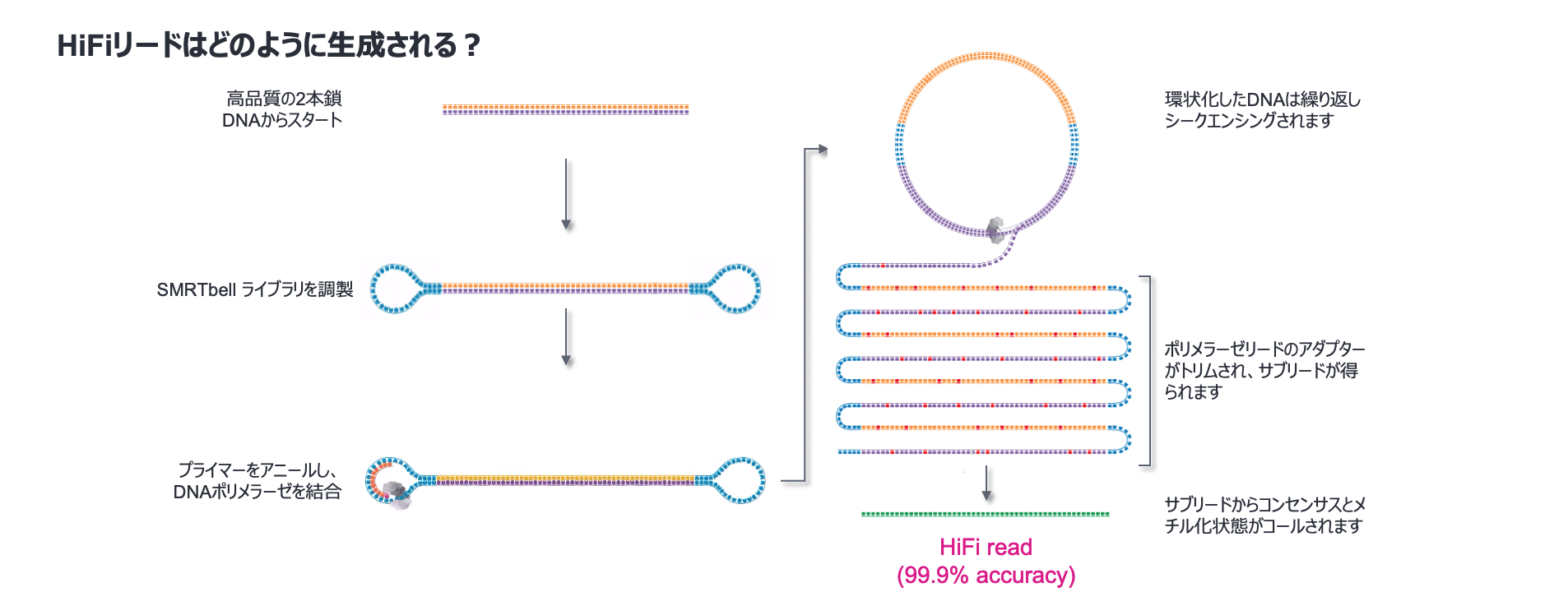 How HiFi works - Japanese version