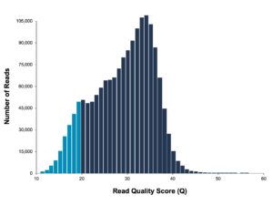 Highly Accurate Long Reads