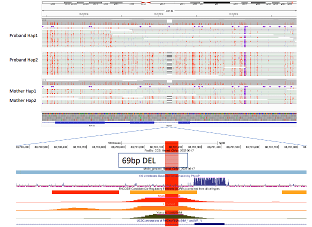 Figure from Cheung et al.