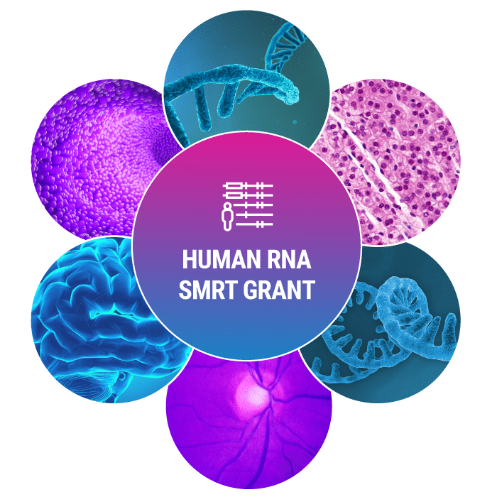 Human RNA SMRT Grant emblem logo