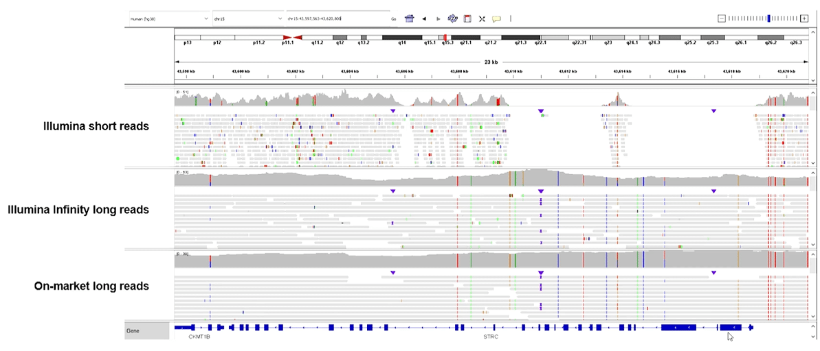 Illumina vs. long reads