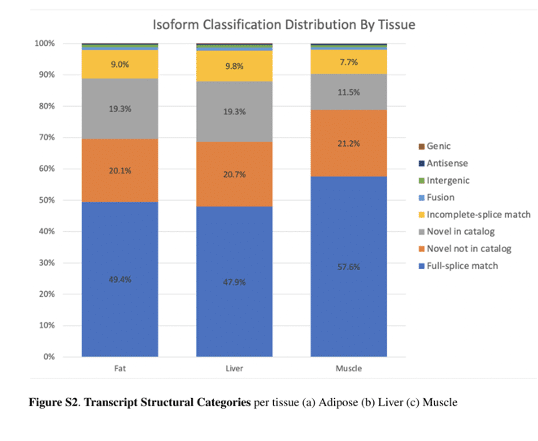 Isoform classification distribution by tissue