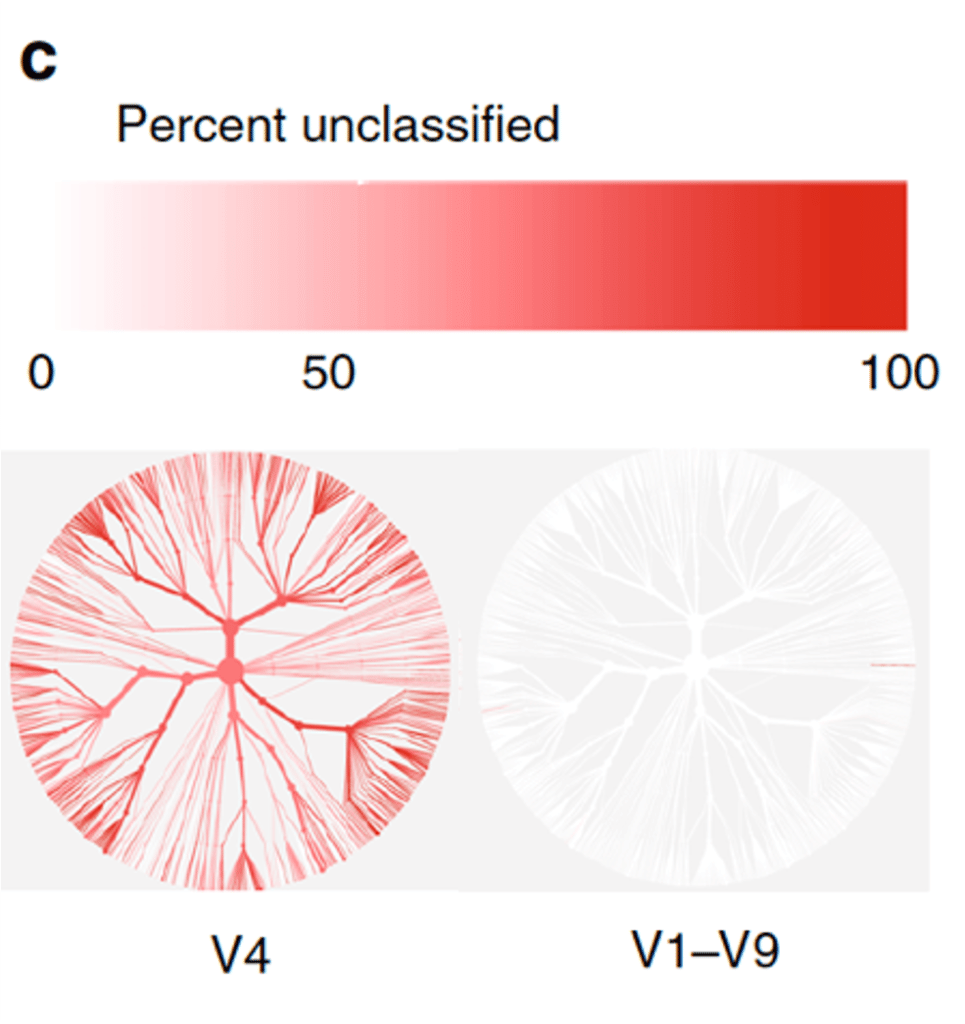 Percent classification of microbial tax in a gut microbiome
