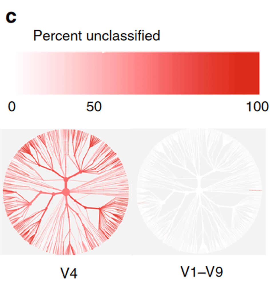 Percent classification of microbial tax in a gut microbiome 