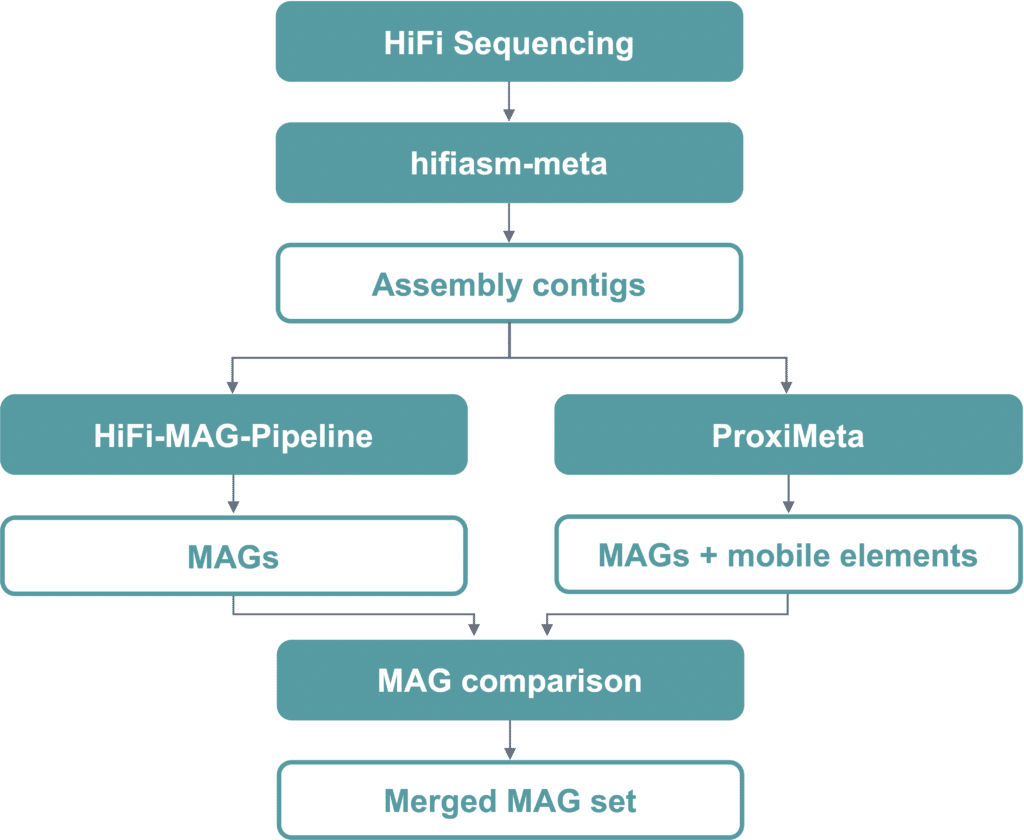 Metagenomics workflow