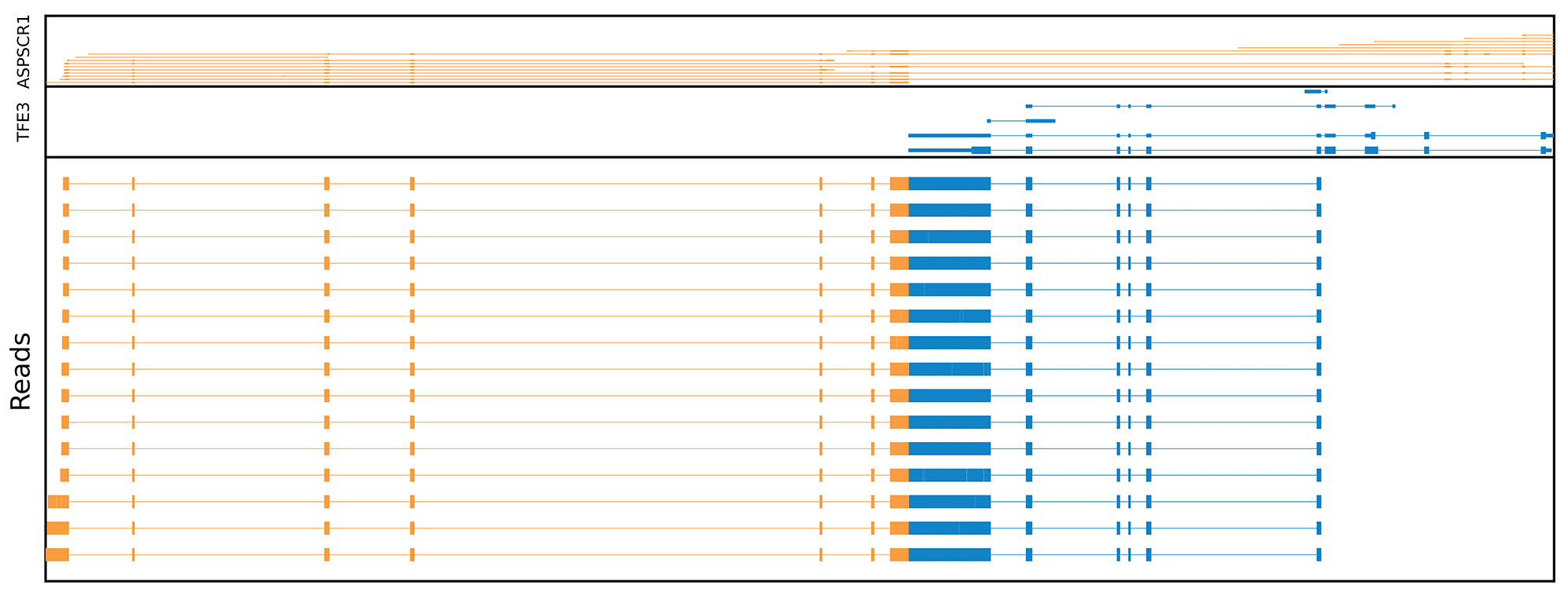 genome browser shot of fusion reads