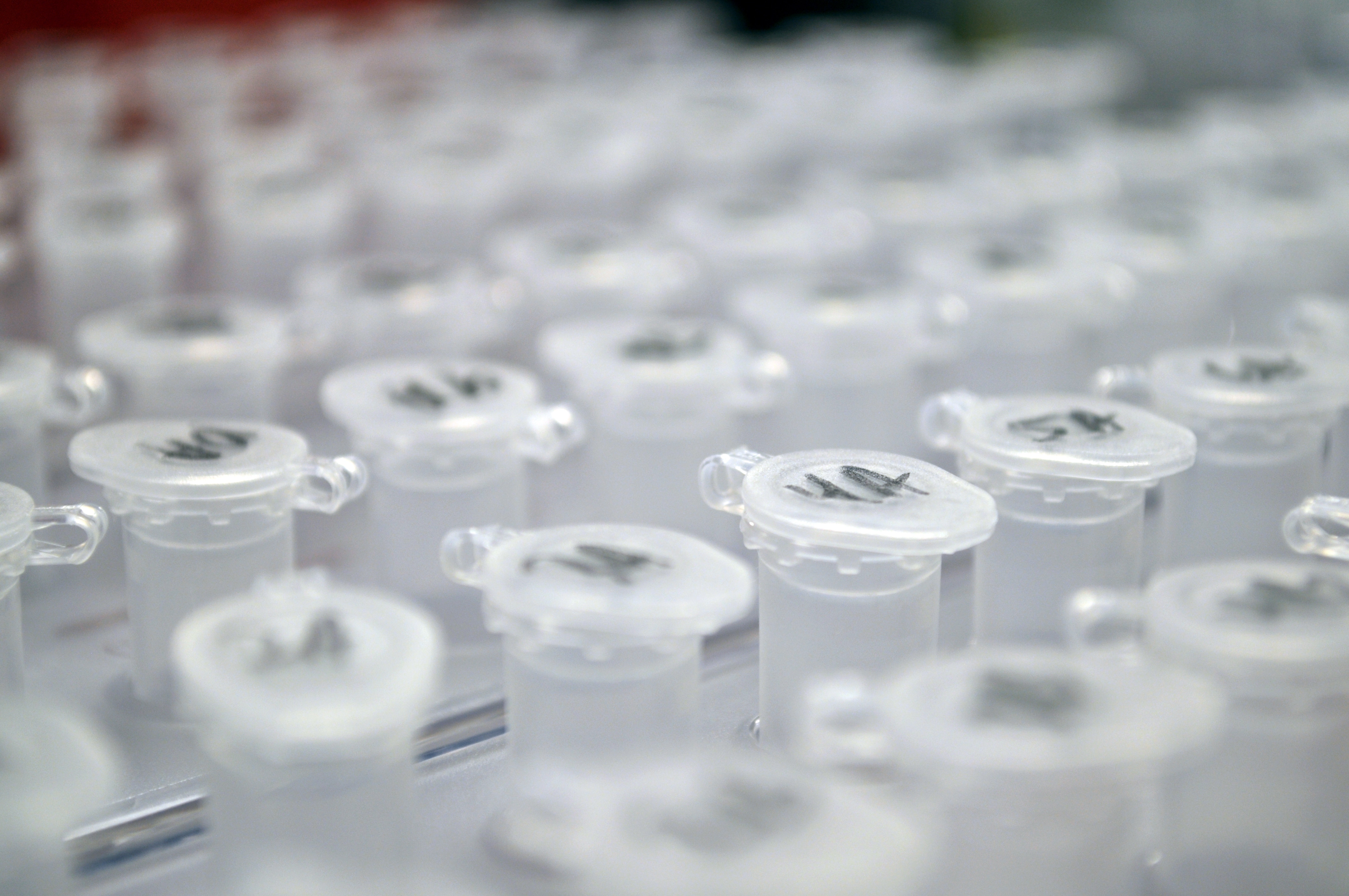 Image of sample tubes for rare disease research