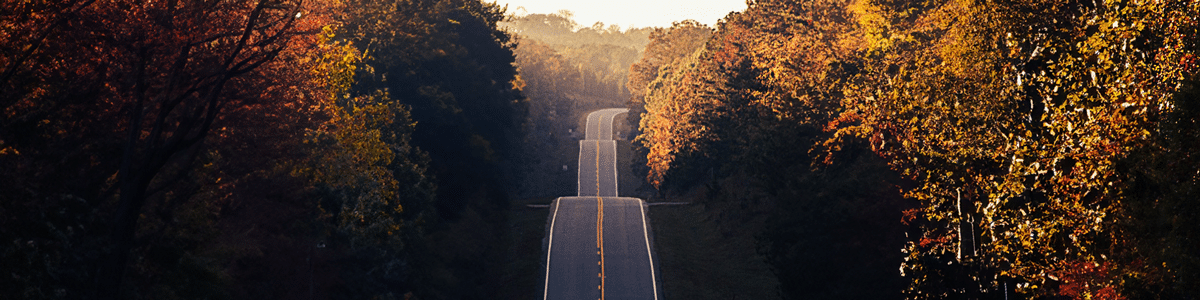 Image of a road with multiple hills signifying diagnostic odyssey long road