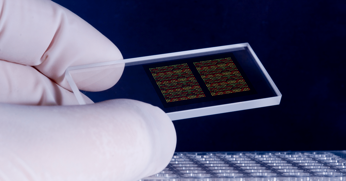 hand holding a microarray chip