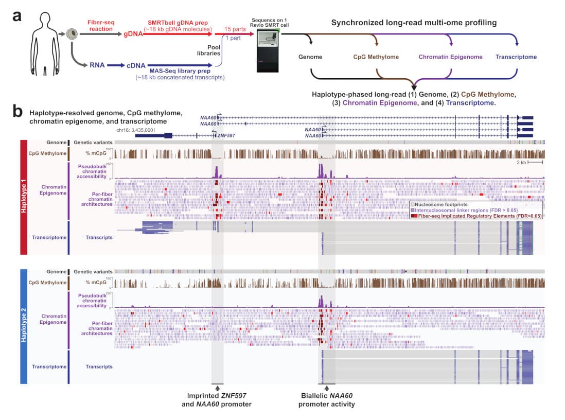 Multiome Blog Figure 1