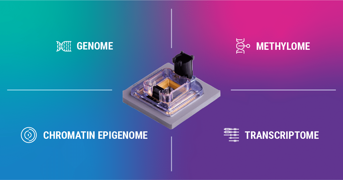 Multiomics and SMRT Cell applications with 4 quadrants: Genome, methylome, chromatin epigenome and transcriptome