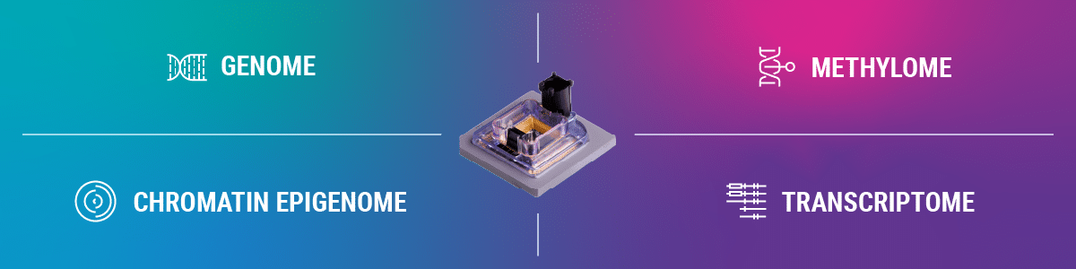 Multiomics and SMRT Cell applications