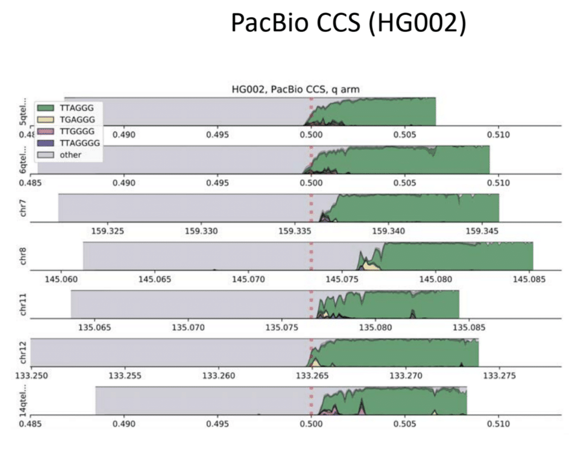 Nice to See You, Telomere: Scientists Use SMRT Sequencing for ...