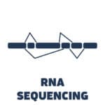 PacBio Icon – RNA Sequencing