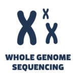 PacBio Icon – Whole Genome Sequencing