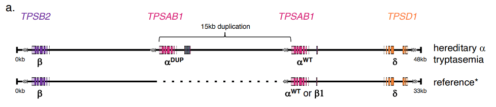 Pacbio precision medicine