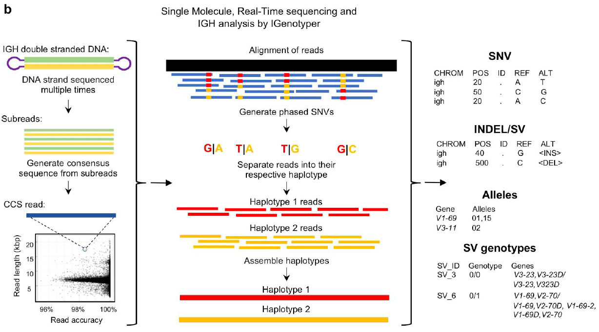 Rodriguez 2020_Figure 1