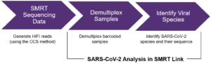 SARS-CoV-2 Analysis in SMRT Link - PacBio