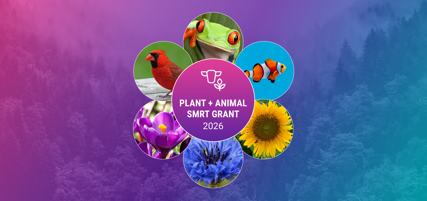 teaser image for the 2026 Plant and Animal SMRT grant