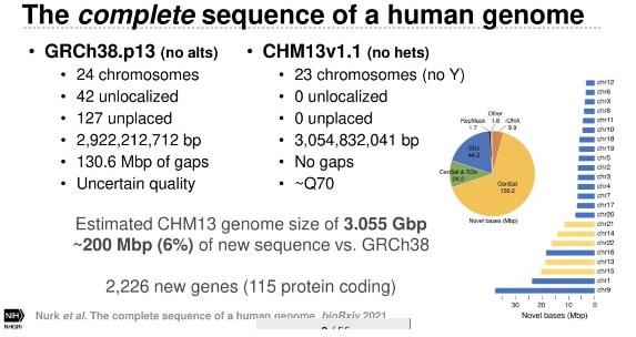 SMRT Leiden 2021 complete human genome