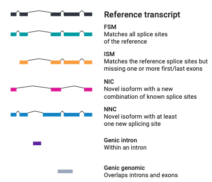 SQANT13 transcript classification against reference annotation