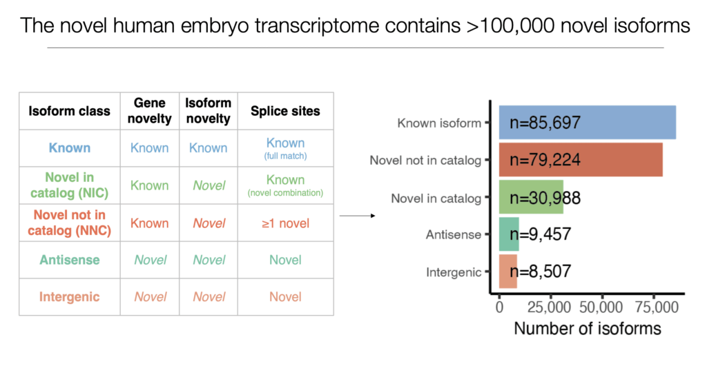 Novel isoform discovery