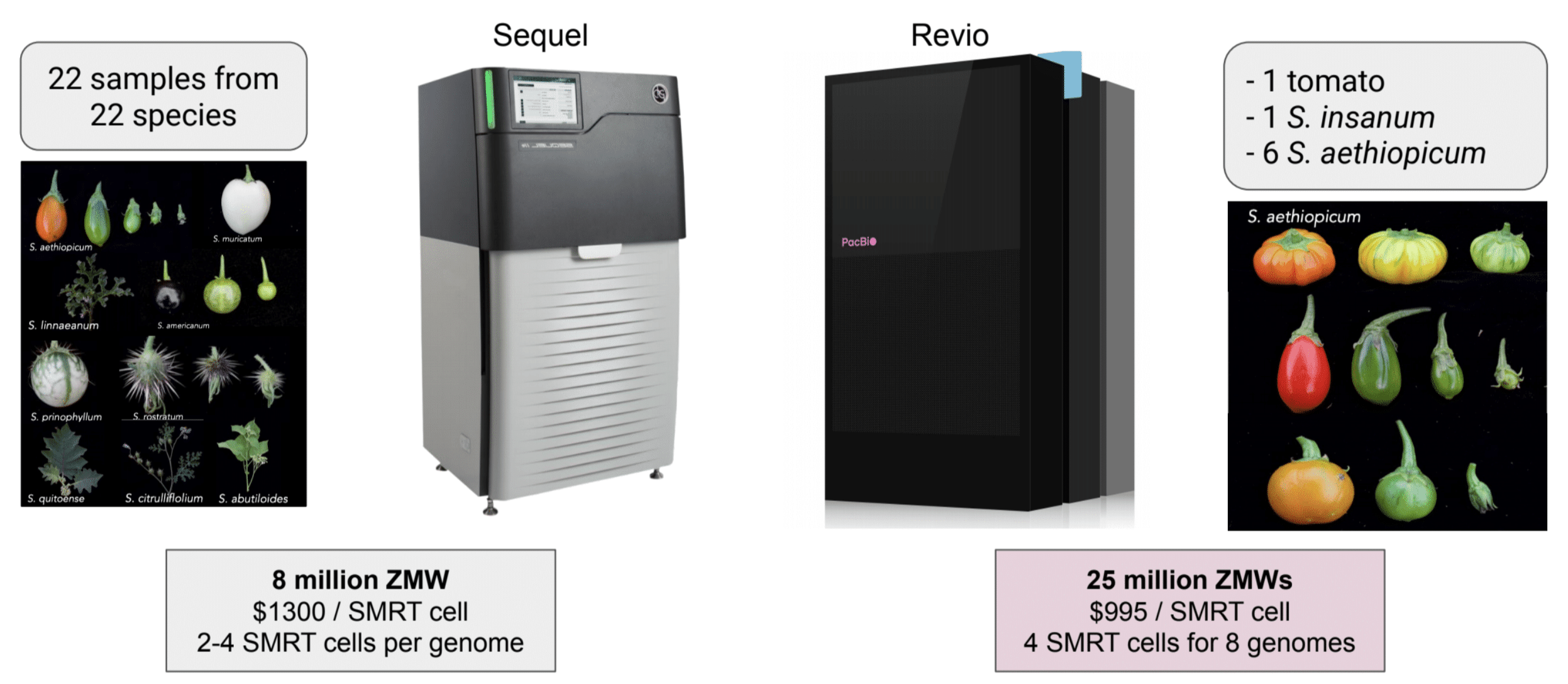 Sequencing Revio vs. Sequel