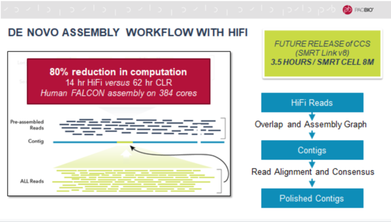 HiFi Reads Add Unparalleled Accuracy to the Long-Read Sequencing ...