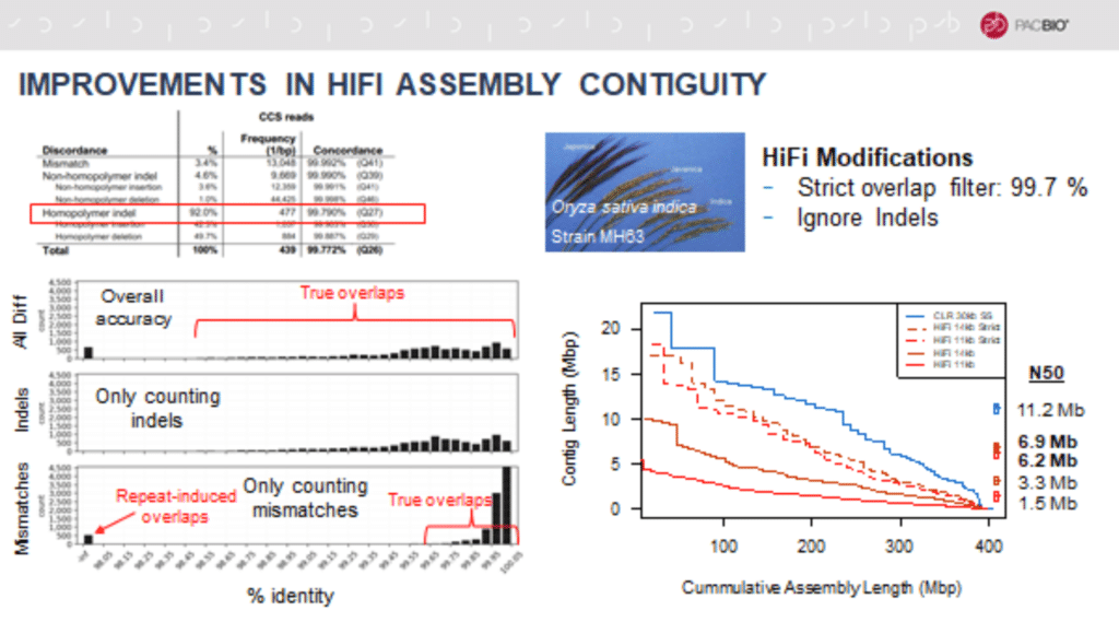 HiFi Reads Add Unparalleled Accuracy to the Long-Read Sequencing ...