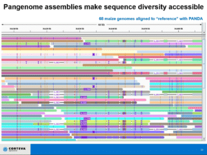 Graphic alignment of dozens of genomes in a pangenome collection allows researchers to quickly identify novel variations - PacBio