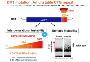 Myotonic dystrophy type 1 (DM1) is caused by an unstable CTG repeat - PacBio