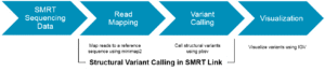 Structural variant calling_1