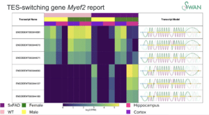 TES-switching gene Myef2 report - PacBio