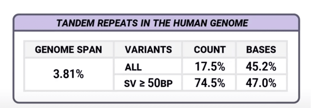 Tandem repeats in the human genome