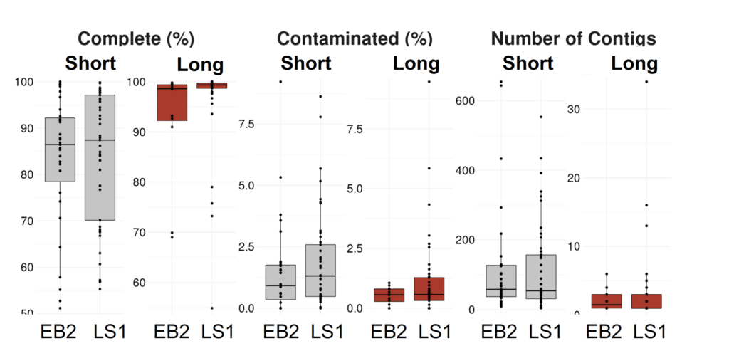 MAG recovery between short and long reads. 