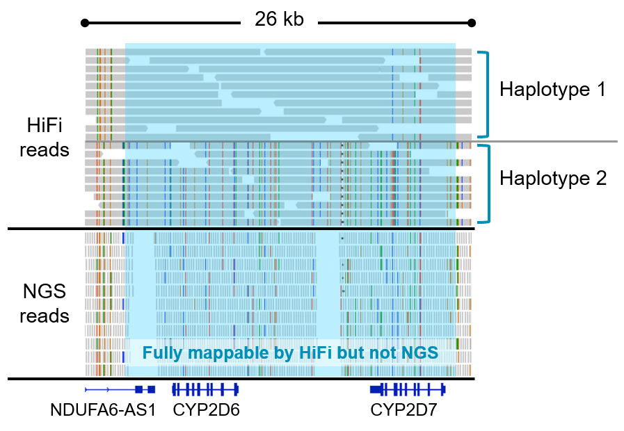 Variant detection diagram