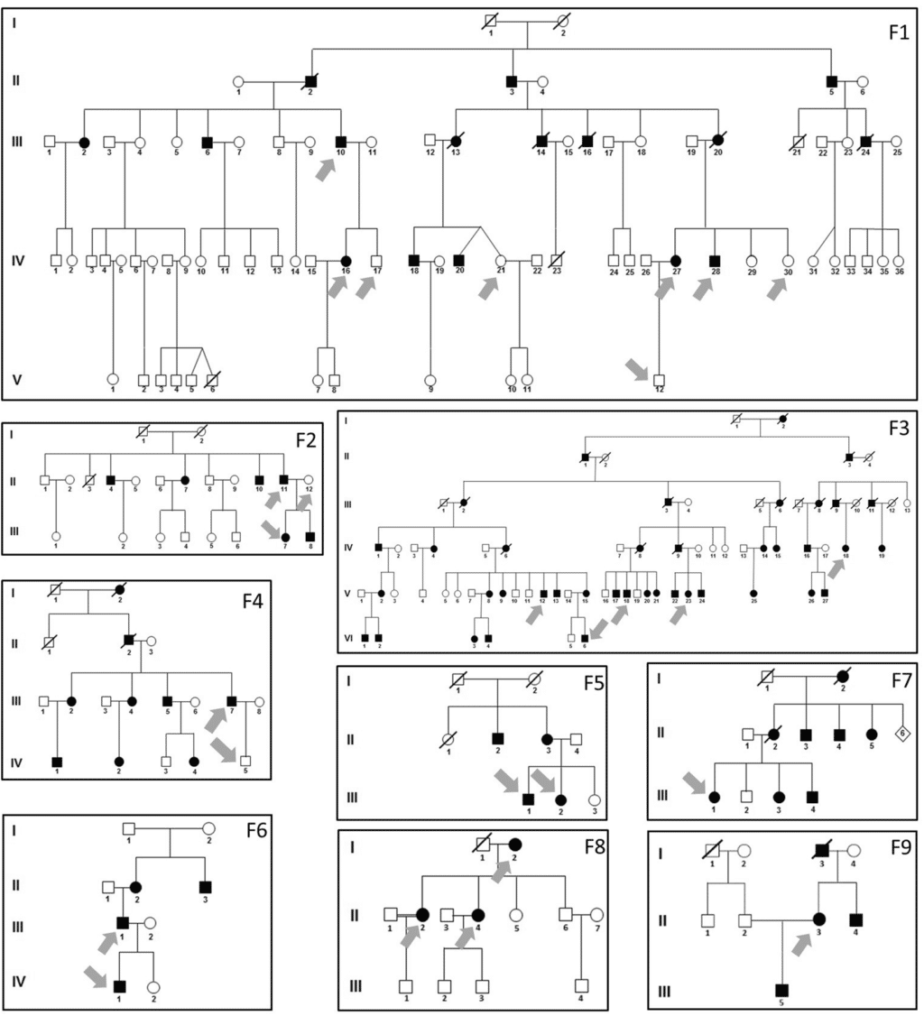 Wenzel_2018_Figure 3